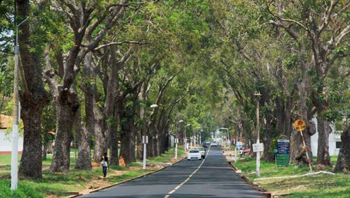 A good road such as this is all that the University of Health and Allied Sciences needs to befit its status as a public institution